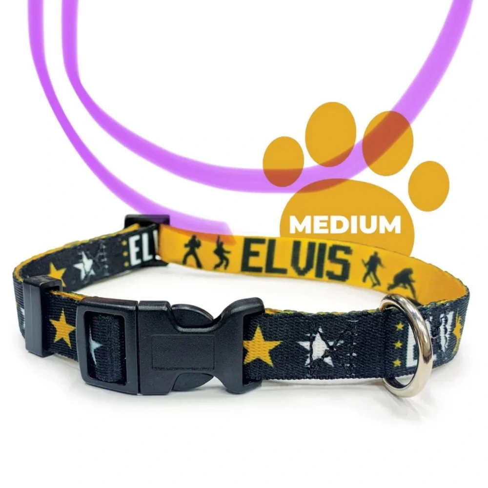 Elvis Presley Dog Collar Black and Gold Size Medium